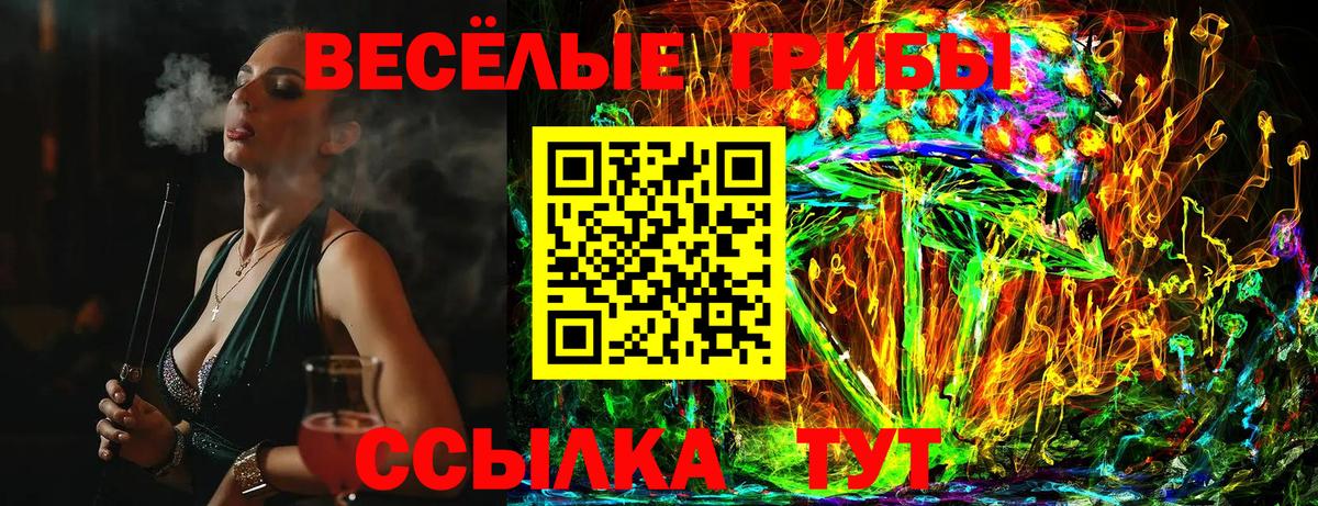 Шадринск  наркотики  Вход с VPN  Галлюциногенные грибы ЛСД  Галлюциногенные грибы Cubensis 